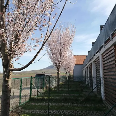 Duplex Palava * Dolní Dunajovice